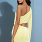 The Bodyguard Mini Dress