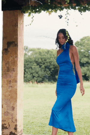 Azura Rose Halter Dress – Blue